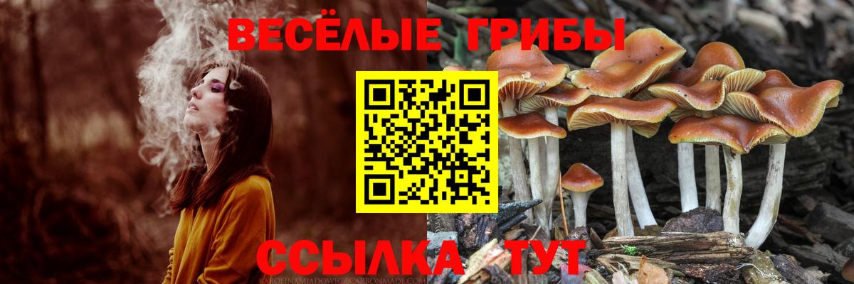 Галлюциногенные грибы Magic Shrooms  Вход с VPN  Георгиевск 